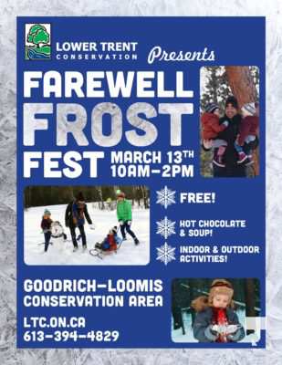 Farewell Frost Fest 2019