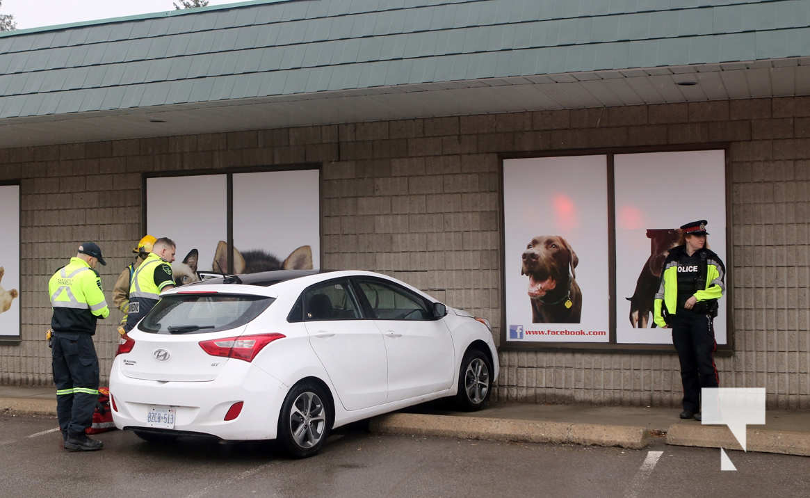 Car Slams Into Pet Food Store In Cobourg Today's Northumberland