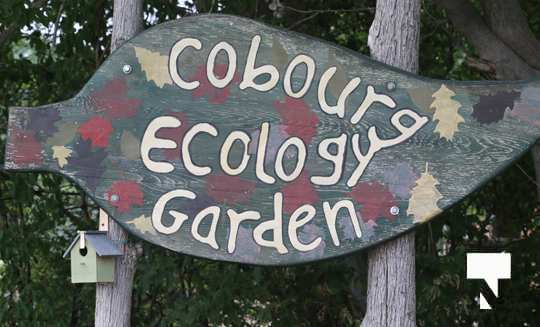 July 12 cobourg ecology garden465