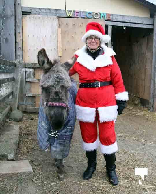 Caroling With the Donkeys December 13, 202011