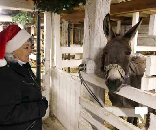 Caroling With the Donkeys December 13, 202012