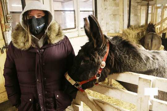 Caroling With the Donkeys December 13, 202015