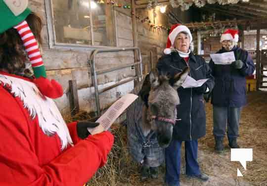 Caroling With the Donkeys December 13, 202020