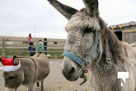 Caroling With the Donkeys December 13, 202025