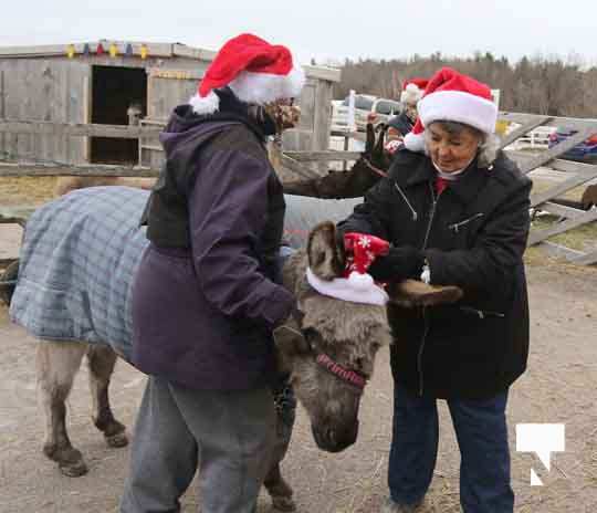 Caroling With the Donkeys December 13, 20207
