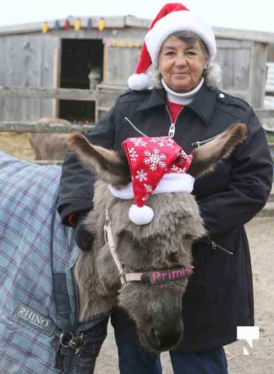 Caroling With the Donkeys December 13, 20208