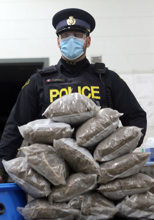 pot seized Northumberland OPP February 11, 2021699