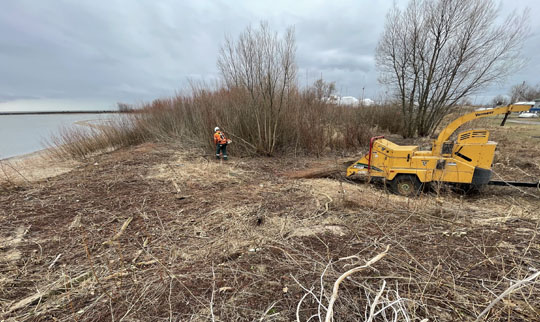 Brush Clearing Cobourg March 31, 2021928