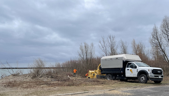 Brush Clearing Cobourg March 31, 2021929