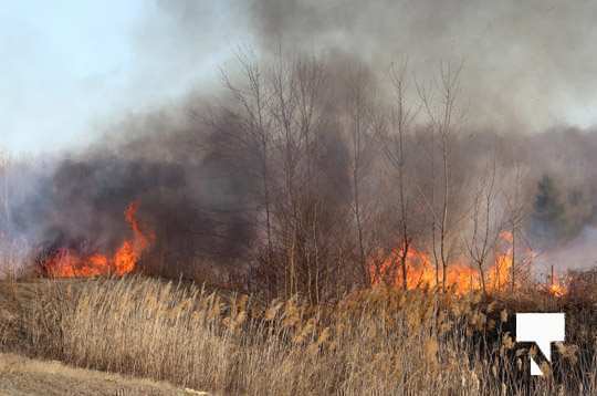 Brush Fire Highway 401 Cobourg March 21, 2021626