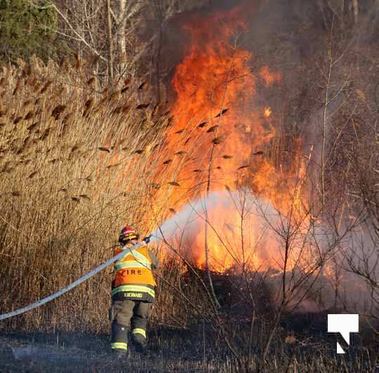 Brush Fire Highway 401 Cobourg March 21, 2021632
