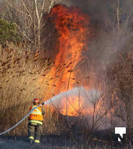 Brush Fire Highway 401 Cobourg March 21, 2021633