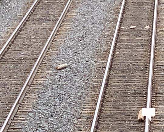 Debris on Tracks Port Hope April 20, 20211634