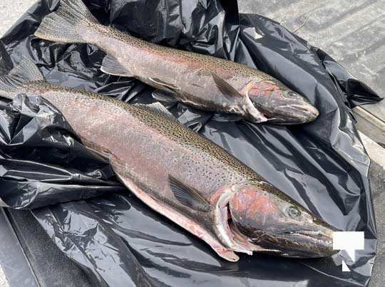Trout Opening Day Cobourg Protest April 24, 20211724