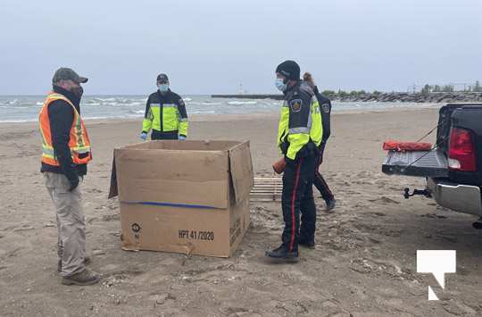 Deer Rescued Cobourg Beach May 28, 20212489