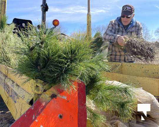 Planting Trees Cramahe Township May 1, 20211834