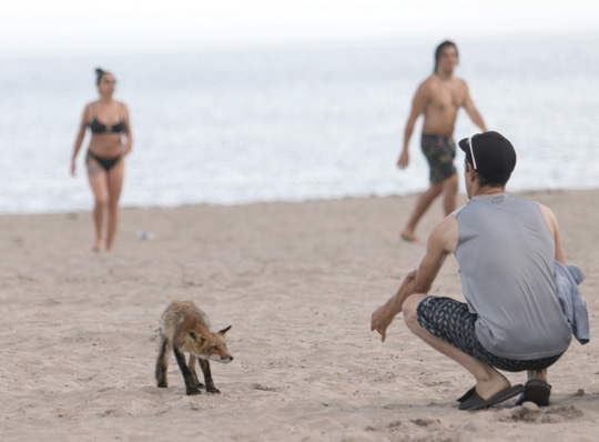 fox cobourg beach June 7, 20212826