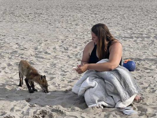 fox cobourg beach June 7, 20212836