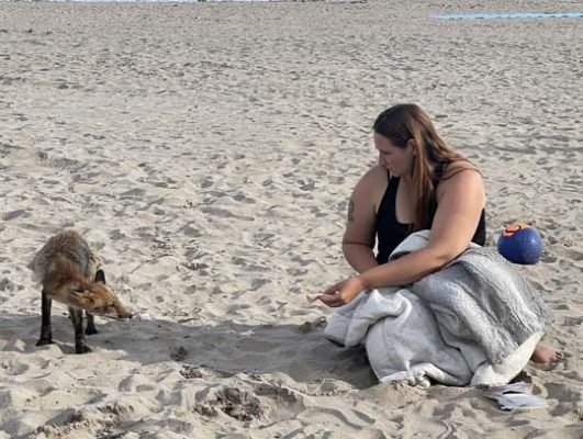 fox cobourg beach June 7, 20212837