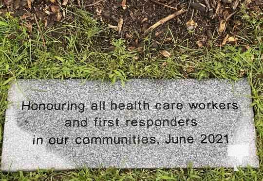 Tree Plant Healthcare Workers July 27, 20210152