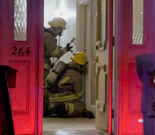 Dog Treated for Smoke Inhalation After Firefighters Respond to Possible ...