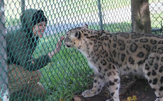 Jungle Cat World Halloween October 22, 2021, 2021264