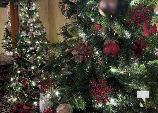 Festival of Christmas Trees Port Hope November 26, 2021, 2021143