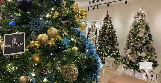 Festival of Christmas Trees Port Hope November 26, 2021, 2021152