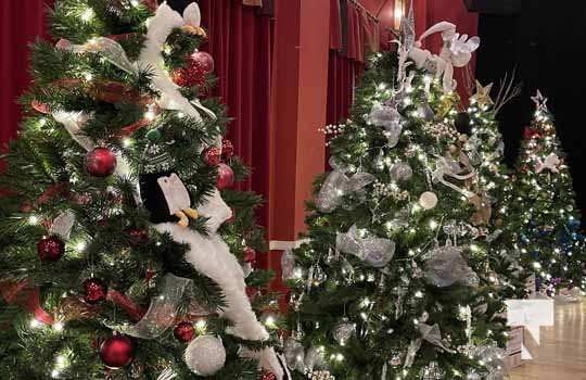 Festival of Christmas Trees Port Hope November 26, 2021, 2021157