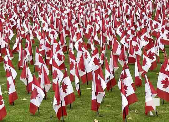 Remembrance Canadiian Flags Toronto November 9, 2021, 2021495