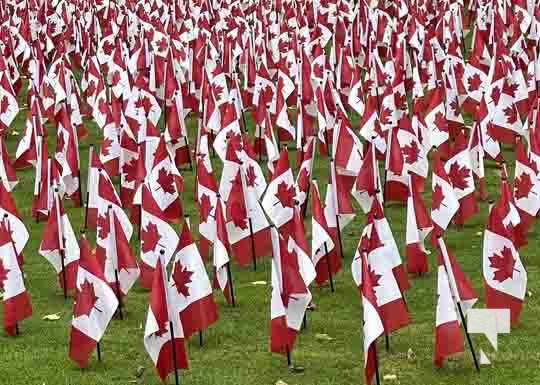 Remembrance Canadiian Flags Toronto November 9, 2021, 2021496