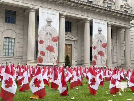 Remembrance Canadiian Flags Toronto November 9, 2021, 2021498