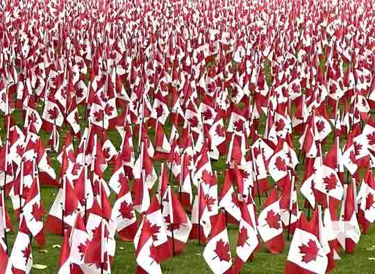 Remembrance Canadiian Flags Toronto November 9, 2021, 2021501