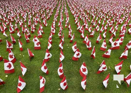 Remembrance Canadiian Flags Toronto November 9, 2021, 2021502