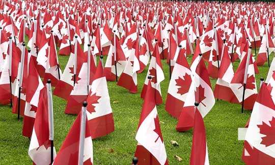 Remembrance Canadiian Flags Toronto November 9, 2021, 2021503