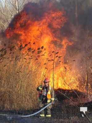 Brush Fire Highway 401 Cobourg March 21, 2021636