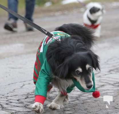 Castletown Pet Parade December 5, 2021, 2021352