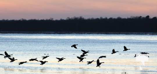 Sunset Ice Cobourg Lake Ontario January 14, 2022309