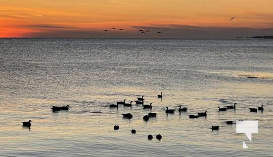 Sunset Ice Cobourg Lake Ontario January 14, 2022319