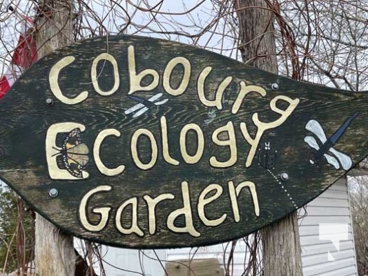 Cobourg Ecology Garden April 23, 202240