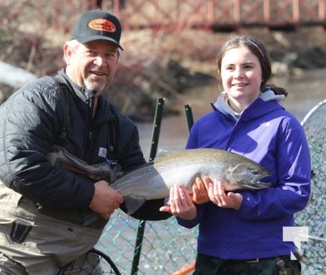 Fish Lift Rainbow Trout Cobourg Creek April 2, 20221269