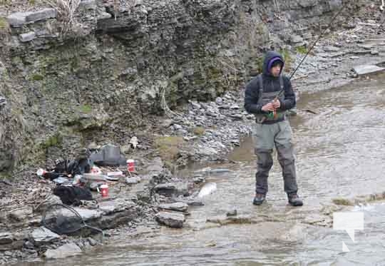 Rainbow Trout Opening Cobourg Port Hope April 23, 20220