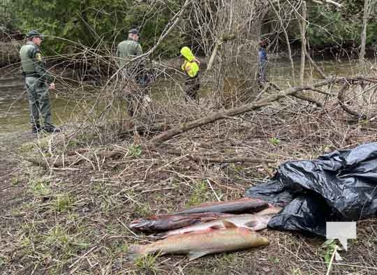 Rainbow Trout Opening Cobourg Port Hope April 23, 202218