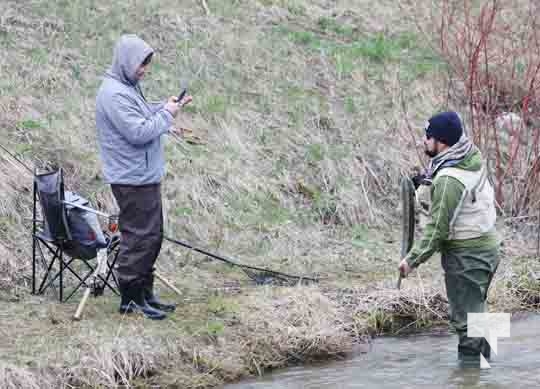 Rainbow Trout Opening Cobourg Port Hope April 23, 20224