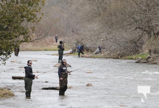 Rainbow Trout Opening Cobourg Port Hope April 23, 20226