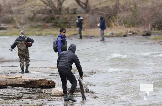 Rainbow Trout Opening Cobourg Port Hope April 23, 20227