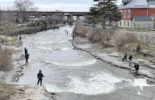 Rainbow Trout Opening Cobourg Port Hope April 23, 20228