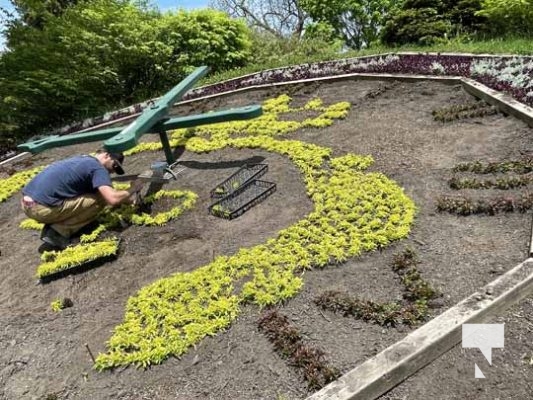 Floral Clock Cobourg May 26, 2022826