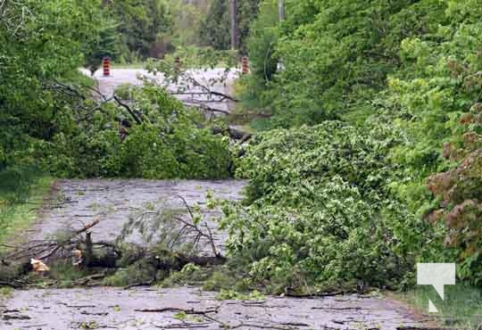 Northumberland County Storm Damage May 21, 2022674