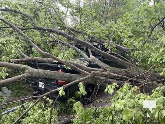 Northumberland County Storm Damage May 21, 2022690